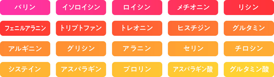 バリン イソロイシン ロイシン メチオニン リシン フェニルアラニン トリブトファン トレオニン ヒスチジン グルタミン アルギニン グリシン アラニン セリン チロシン システイン アスパラギン プロリン アスパラギン酸 グルタミン酸